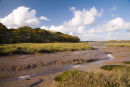 Mudflats